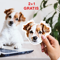 3x Ministicker of your pet






